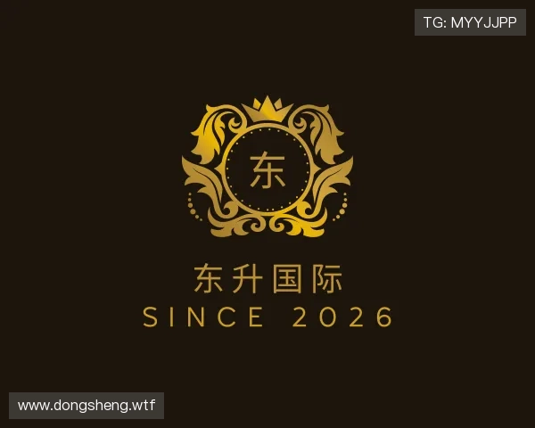 了解东升国际